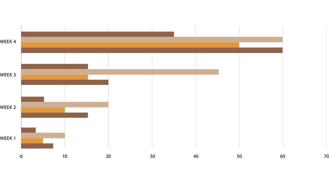 Therapy Progress Chart
